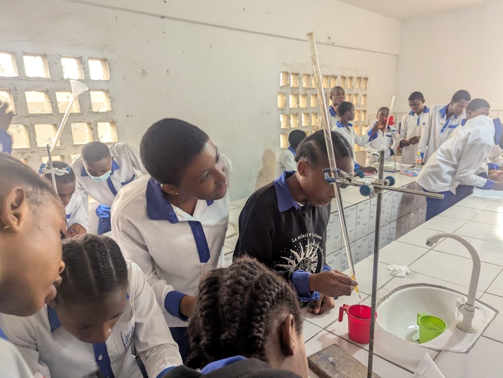 Biology dissection